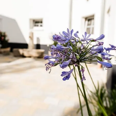 Rosenchalet Feriehus *